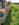 64 field 3.jpg 64 field 3.jpg