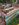 64 field 4.jpg 64 field 4.jpg