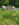 64 field 6.jpg 64 field 6.jpg