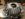 9A93470A-7C4F-4033-B319-34B18CF44C6B.jpeg