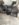 474C1DAD-FAEC-4319-B3F3-B6A03479BC44.jpeg