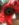 120E83A1-B7DB-4A4B-BF17-0DE6A5BE98E8.jpeg