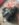 AC62BCE2-A08B-4B74-BF38-308748132AED.jpeg