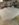 70E33315-8B0D-4888-B8A8-3C4B0ADB1B5A.jpeg