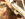 DSCN0700.jpg