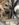 468BAF68-38AB-4E17-904C-DB19B4E2660B.jpeg 468BAF68-38AB-4E17-904C-DB19B4E2660B.jpeg