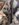 23ED6F16-0B6D-41CE-959F-B8E82C668BCF.jpeg 23ED6F16-0B6D-41CE-959F-B8E82C668BCF.jpeg