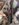 BEC4874F-5678-435F-B03D-12272B052A08.jpeg BEC4874F-5678-435F-B03D-12272B052A08.jpeg