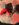 84670C14-9FEF-4F5C-8317-FF5E5BE5C50B.jpeg