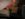 9270F1E8-AE4C-4EEC-8BE9-B4FF8BF969F3.jpeg