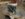 5FB52379-16B9-4555-8883-F0758CCA9961.jpeg