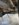 6574F825-39FB-421F-9BBF-762BF9294AC6.jpeg