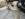 2D5B07CB-5CAD-47EB-93F1-7E89E11F60B3.jpeg
