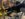 F49FC984-631E-4D3B-92F3-FF3377593C2A.jpeg