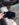 E8AC7847-854F-4761-834D-47633EC61924.jpeg