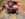 5AFF2C34-6DB6-44C5-871C-A349E211C7A4.jpeg