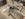 FE167A59-93A7-4569-B497-CB26801CA0E1.jpeg