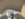 E966C496-FA13-4FF2-87EB-77AF9AB2D17A.jpeg