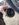 B4594545-1F79-4B4A-8D42-B0201CC49EBD.jpeg
