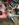 4D32DA39-5828-4DDE-8EF4-9EC4A4AD5FE1.jpeg