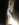 909A5991-CCFF-4173-9AF7-B800BEA27B32.jpeg