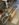 0DAAFDE6-9504-4B19-8C92-24D5BFCE9FA6.jpeg