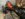 5EFC546F-6F1B-499D-A36C-40C4B684F007.jpeg