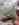 65966CD1-407B-4678-A781-49970CBE40D0.jpeg