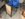 5E6C076C-4265-4DF6-8700-675FAEAB5D00.jpeg