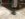 120BAFF1-0D02-4C85-84F1-FA87E98169D5.jpeg