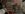 IMG_0125.jpeg