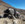 21B378BA-6208-497B-AA8C-A036E8E576C2.jpeg