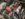 359B981B-2166-4D0A-8680-0C266715A433.jpeg