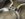 ACBE6161-36CB-4AB4-9AFC-D5EA1E07CCE8.jpeg