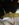 6B1B3E17-88EF-469E-BD02-3C4A4D400DFA.jpeg
