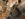 99560F5B-2ED7-46F9-9FAB-41A4BC082FEF.jpeg