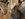 94AF6523-2C61-4937-BC42-8AA586A2D3B2.jpeg