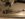 EF628476-4388-47E3-97C1-E9DD58412AFB.jpeg