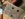 C0C0778C-5934-44A3-B74B-BBD493661DDF.jpeg