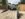9A5DD56B-824D-4AB7-B8ED-CA0F12FFEA57.jpeg