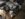 42A0CC87-655C-4E57-A04F-04E5AA5B126B.jpeg
