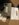 BD2AF233-D5C1-42DC-AF55-61AB01CD0B90.jpeg