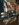 A24F4AF3-A914-43B6-98F0-71CC2660CF66.jpeg