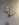 309DF31A-BA0B-4A88-862E-8C463FD1EFCE.jpeg