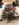515FFE1A-9838-4DC9-866F-EFF5BC6F7395.jpeg