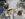 CCEAC9DF-F62B-4614-955B-8643EFF59A56.jpeg