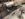 03E5AAFD-9D17-4E03-8A5D-5ADEDAE60045.jpeg