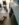 0B4E2FA0-0AC4-4B11-BC8F-2C38FA29D246.jpeg