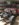 68F63F8B-D7A1-452B-8819-24832C4A7DAF.jpeg