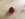 0868A925-CBE6-42BF-8DBB-420FC48D7EC1.jpeg